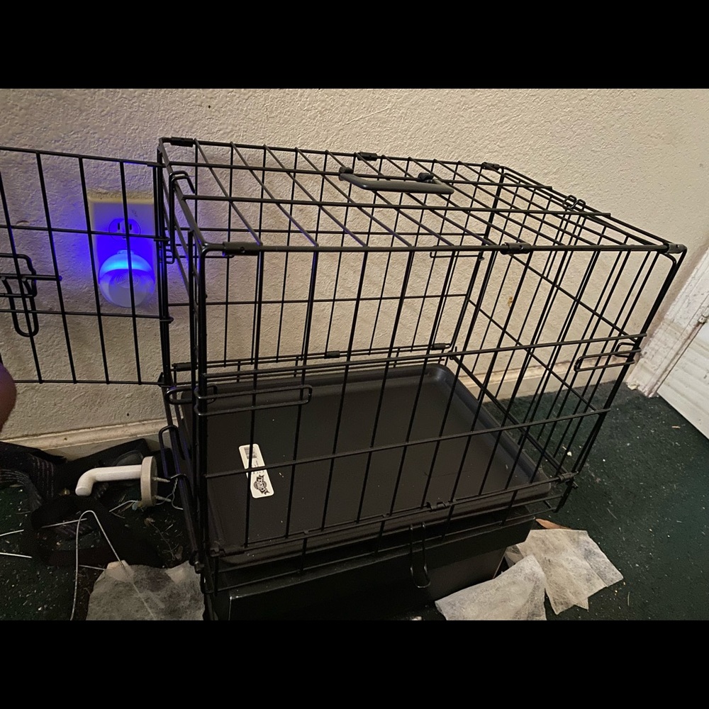 Small dog/Puppy essentials - Picture 2 of 4